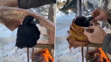 Viral Video: कौवे को कड़ाके की ठंड से बचाने के लिए शख्स किया ऐसा काम, दिल जीतने वाला वीडियो हुआ वायरल