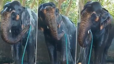 Viral Video: सूंड में पानी की पाइप फंसाकर मजे से स्नान करता दिखा हाथी, गजराज की नहाने की अदा पर फिदा हुए लोग