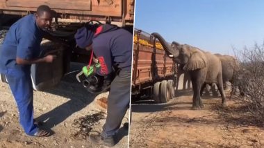 जंगल से गुजरने वाले ट्रक को हाथियों के झुंड ने रोका, अधिकारी की तरह वसूला टोल टैक्स (Watch Viral Video)