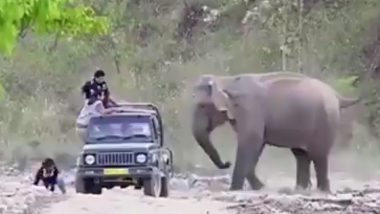 Funny Video: जब मजाक के मूड़ में आ गए गजराज, हाथी के प्रैंक से पर्यटकों की हो गई हालत खराब