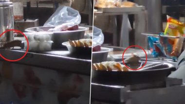 Rats on IRCTC Food: आईआरसीटीसी के फूड स्टॉल में खाने पर दौड़ते नजर आए चूहे, वायरल हुआ Video