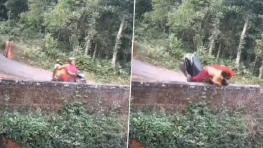 Woman Crashes Scooty Into a Wall: दीवार से टकराई महिला की तेज रफ्तार स्कूटी, पीछे बैठी दोस्त उछलकर गिरी दूसरी ओर | Video