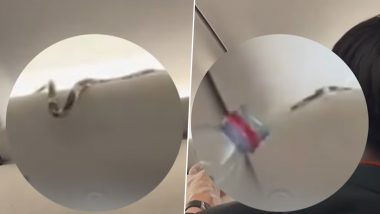 Snake Onboard Plane: एयरएशिया फ्लाइट के ओवरहेड केबिन में जीवित सांप को देख मची अफरा-तफरी, वीडियो हुआ वायरल