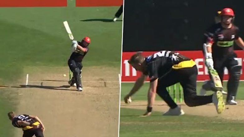 Logan Van Beek One-handed Catch: लोगन वैन बीक ने सुपर स्मैश मुकाबले में एक हाथ से लपका शानदार रिटर्न कैच, देखें वीडियो