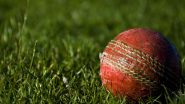 Deepak Khandekar Tragically Dies: मध्य प्रदेश में क्रिकेट खेलते समय मैदान पर हार्ट अटैक से खिलाड़ी की हुई मौत, 2 महीने पहले हुई थी दीपक खांडेकर की शादी