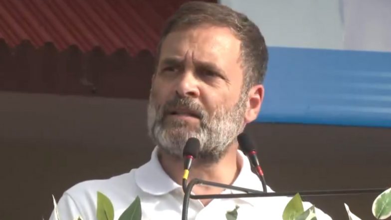Bharat Jodo Nyay Yatra: MP में 'भारत जोड़ो न्याय यात्रा' का 5वां दिन, आज बदनावर में जनसभा को संबोधित करेंगे राहुल गांधी- VIDEO