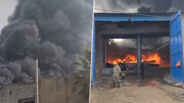 Delhi Fire Video: अलीपुर में जूता की फैक्ट्री में लगी भीषण आग, मौके पर पहुंची दमकल की गाड़ियां