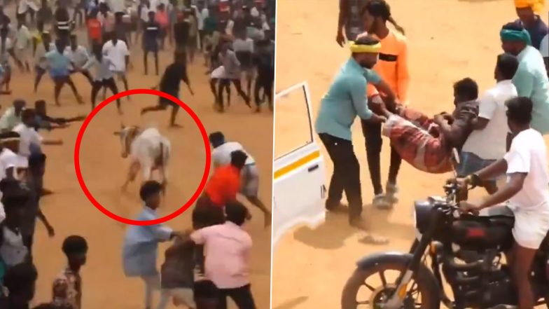 Tamil Nadu: अरलीपराई में आयोजित जल्लीकट्टू कार्यक्रम के दौरान कई लोग घायल, देखें वीडियो
