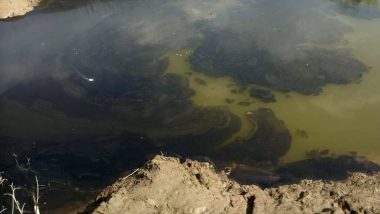 Black oily substance in Iril River: मणिपुर के इरिल नदी में रहस्यमय काला तैलीय पदार्थ मिलने के बाद बंद कर दिया गया बांध, निवासियों में भय का माहौल