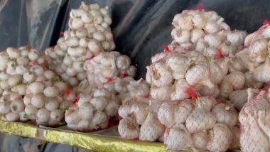 Garlic Price Hike: लहसुन पर महंगाई की मार, कीमतों में कब आएगी गिरावट?- VIDEO