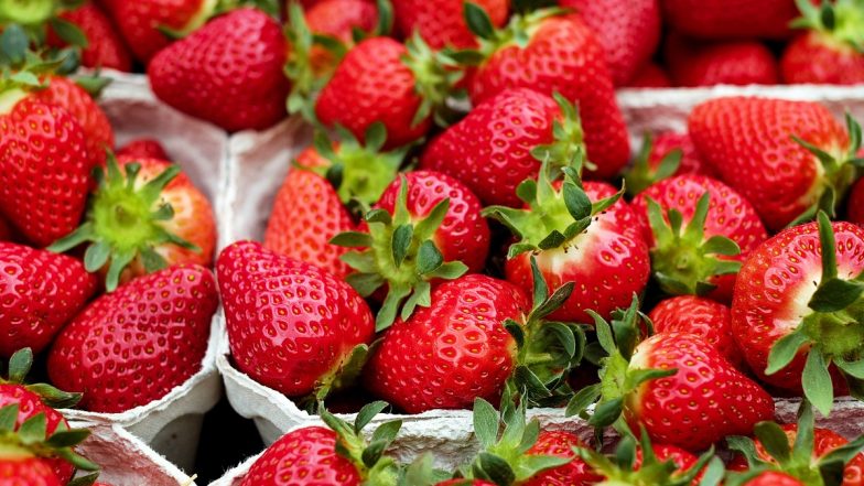 Suspicious Strawberries in Market: पुणे के बाज़ार में लाल पानी वाली स्ट्रॉबेरी दिखीं; FDA ने जन जागरूकता अभियान किया  शुरू किया, देखें वीडियो