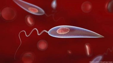 कालाजार बीमारी को मिटाने की कगार पर है भारत