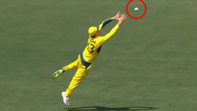 Labuschagne Stunning Catch Video: मार्नस लाबुशेन ने हवे में उड़कर लपका शानदार कैच, देखते रह गया कैरिबियाई बल्लेबाज; देखें वीडियो
