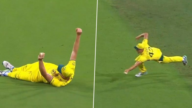 Cameron Green Catch: वेस्टइंडीज के खिलाफ दूसरे वनडे में कैमरून ग्रीन ने लपका कमाल का कैच, बल्लेबाज समेत सभी के उड़े होश; देखें VIDEO