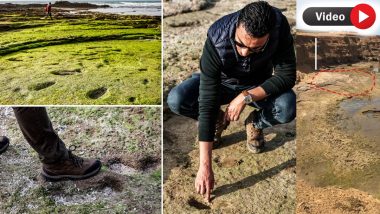 Oldest Human Footprint Video: पहली बार 90,000 साल पुराने मानव पदचिह्न मिले, मोरक्को में दिखे हिमयुग के रहस्यमयी निशान, देखें वीडियो