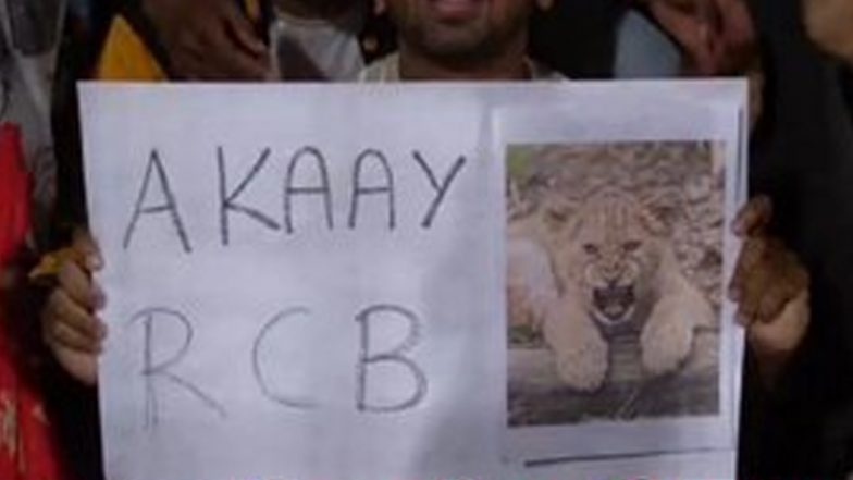 Virat Kohli’s Son Akaay’s Poster: WPL मैच के दौरान RCB फैन ने विराट कोहली के बेटे अकाय का दिखाया पोस्टर, देखें तस्वीर