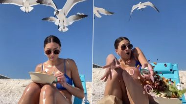 बीच पर महिला ने निकाला खाने का सामान, अचानक आ पहुंचा पक्षियों का झुंड, फिर जो हुआ... देखें Viral Video