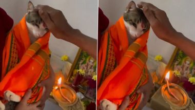 Cat Puja Video: बिल्ली मौसी पर चढ़ा भगवान की भक्ति का रंग, परिवार के लोगों के साथ पूजा में हुई शामिल