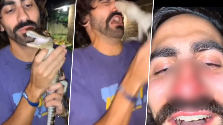 Viral Video: नन्हे मगरमच्छ को बड़े प्यार से किस करने चला था शख्स, फिर जो हुआ... देखकर हो जाएंगे हैरान