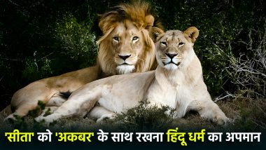 Akbar-Sita Lion Name Row: शेर का नाम अकबर और शेरनी का नाम सीता रखने पर मचा बवाल, वन विभाग के खिलाफ HC पहुंचा VHP