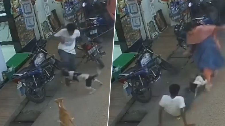 Viral Video: शख्स पर आवारा कुत्ते ने किया अटैक, उसकी जान बचाने के लिए जानवर से भिड़ गई महिला