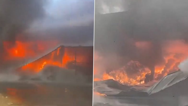 Gujarat Fire: बनासकांठा के पालनपुर मार्केट यार्ड में लगी भीषण आग, काबू पाने की कोशिश जारी, देखें वीडियो