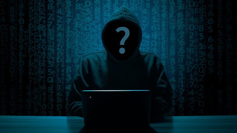 How Is WhatsApp Fraud Done? व्हाट्सएप यूजर्स APK फाइल से सावधान! शख्स ने स्कैमर को चकमा देकर उसी से सीखा फ्रॉड से बचने का तरीका