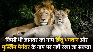Controversial Lion Names: बंगाल में शेर-शेरनी का नाम अकबर-सीता रखने पर हाईकोर्ट ने लगाई फटकार, कहा- ये हिंदू देवी का है अपमान, तुरंत बदले नाम