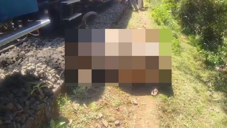 Ooty Toy Train Derailed: तमिलनाडु में हादसा, ट्रैक पर भैंस के टक्कर से ऊटी टॉय ट्रेन पटरी से उतरी