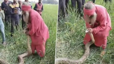 Viral Video: यूपी के बदायूं में खेत से निकला विशालकाय अजगर, बुजुर्ग व्यक्ति ने सांप के जबड़े को पकड़कर घसीटा और फिर...