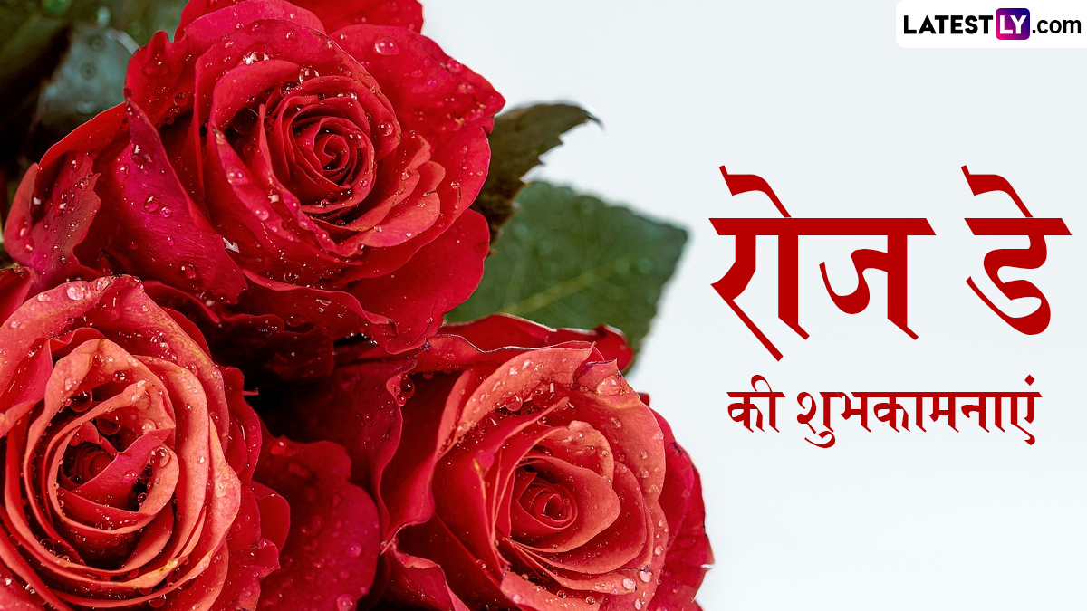 Rose Day 2024 Wishes WhatsApp Messages   Rose Day Teaser 