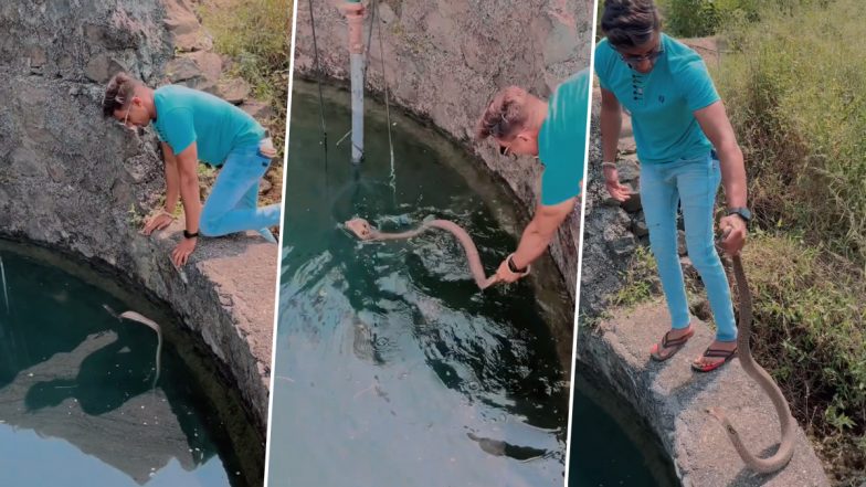 Viral Video: कुएं के अंदर पानी की सतह पर पड़े किंग कोबरा को शख्स ने नंगे हाथों से किया रेस्क्यू, दिल दहला देने वाला वीडियो हुआ वायरल