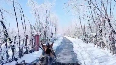 कश्मीर में बर्फीले रास्ते पर दौड़ता दिखा तांगा, अद्भुत नजारे को देख लोगों ने स्वर्ग से कर डाली इसकी तुलना (Watch Viral Video)