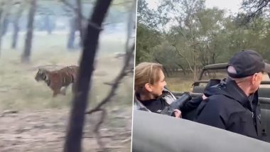 Viral Video: जंगल में तूफानी रफ्तार में दो बाघों ने किया हिरण का पीछा, नजारा देख सहम गए पर्यटक