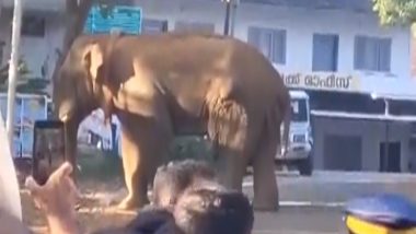 Wild Elephant: केरल के मंथावडी शहर में घुसा जंगली हाथी, अफरा-तफरी का माहौल