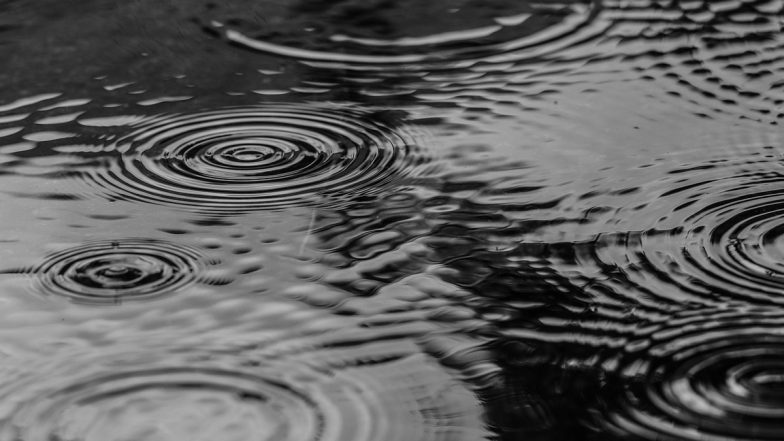 Vidarbha Farmers In Trouble Due To Rain : बारिश और ओलावृष्टि के कारण फिर संकट में विदर्भ के किसान