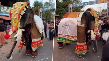 Elephant Dance: ढोल की थाप पर मदमस्त होकर नाचने लगे हाथी राजा, Viral Video देख आप भी लगेंगे झूमने