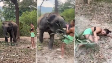 Viral Video: हाथी से दोस्ती करने की कोशिश कर रही थी महिला, तभी गजराज ने ऐसे सिखाया सबक