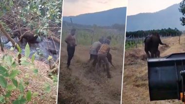 Viral Video: वन अधिकारियों ने बचाई नहर में गिरे नन्हे हाथी की जान, हथिनी ने सूंड उठाकर दिया धन्यवाद