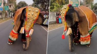 Viral Video: सज-धजकर तैयार हुए हाथी ने सड़क पर किया गजब का डांस, स्टेप्स देखकर आप भी हो जाएंगे गजराज के फैन