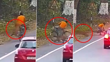Viral Video: झाड़ियों से निकलकर खूंखार तेंदुए ने किया साइकिल सवार पर हमला, रोंगटे खड़े करने वाला वीडियो हुआ वायरल