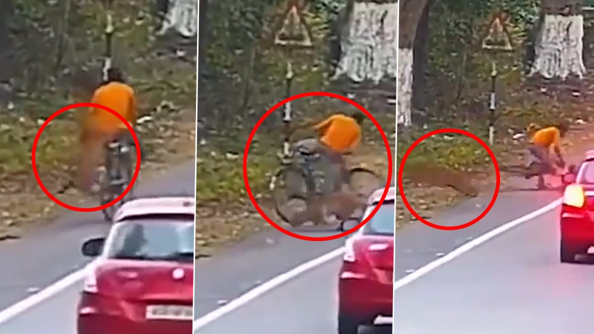 Viral Video: झाड़ियों से निकलकर खूंखार तेंदुए ने किया साइकिल सवार पर हमला, रोंगटे खड़े करने वाला वीडियो हुआ वायरल