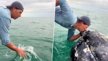 Viral Video: समंदर के पानी में हाथ डालकर मस्ती कर रहा था शख्स, अचानक उसके सामने आ गया विचित्र जीव