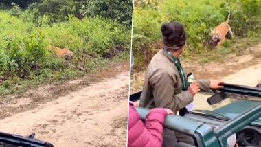 जंगल सफारी के दौरान मजे से फोटोग्राफी कर रहे थे टूरिस्ट, अचानक सामने आ गया खूंखार बाघ और फिर... (Watch Viral Video)