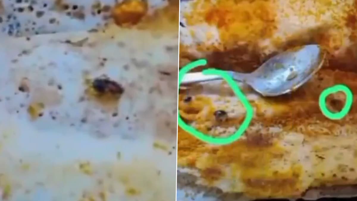 Delhi Viral Video: दिल्ली के कनॉट प्लेस में नाश्ता करने गई महिला, डोसे में मिले 8 मरे कॉकरोच (Watch Video))