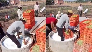 Farmers Rinsing Grapes Into 'Pesticides'? अंगूर को कीटनाशक से धोकर किसान कर रहे हैं आपकी सेहत से खिलवाड़? यहां जानें वायरल VIDEO का सच