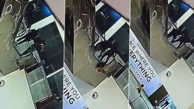 Chhattisgarh Shocker: रायपुर के सिटी सेंटर मॉल में दर्दनाक हादसा, एस्केलेटर चढ़ते समय पिता के हाथ से छूटा मासूम, देखें भयावह VIDEO