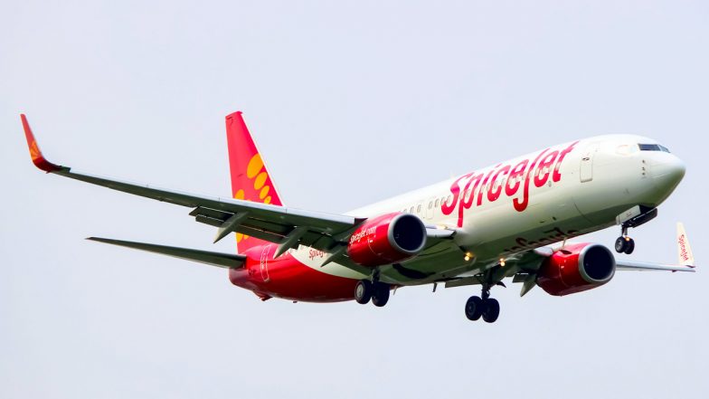 पक्षी से टकराने के बाद लेह जा रहा Spicejet का विमान दिल्ली लौटा