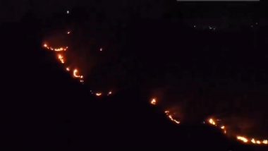 Tamil Nadu Forest Fire Video: मदुरै के मदाक्कुलम श्री कबालीश्वरी अम्मन मंदिर पहाड़ी पर जंगल में लगी आग, देखें वीडियो