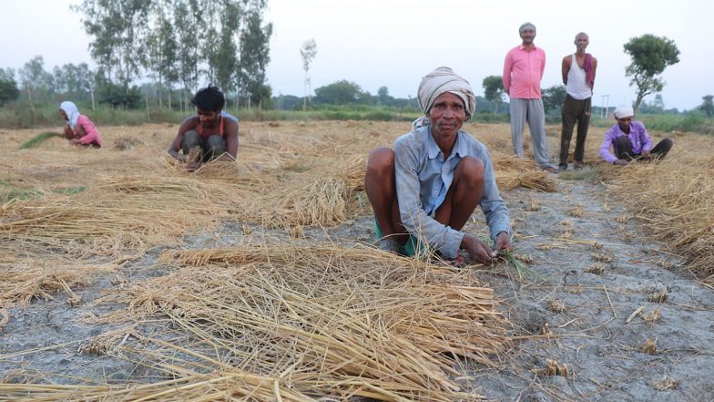 Bihar Monsoon: आषाढ़ में झमाझम बारिश का इंतजार, धान का बीज गिराने के लिए आसमान निहार रहे किसान